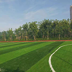 海南三亚湿地公园人造草足球场验收中！